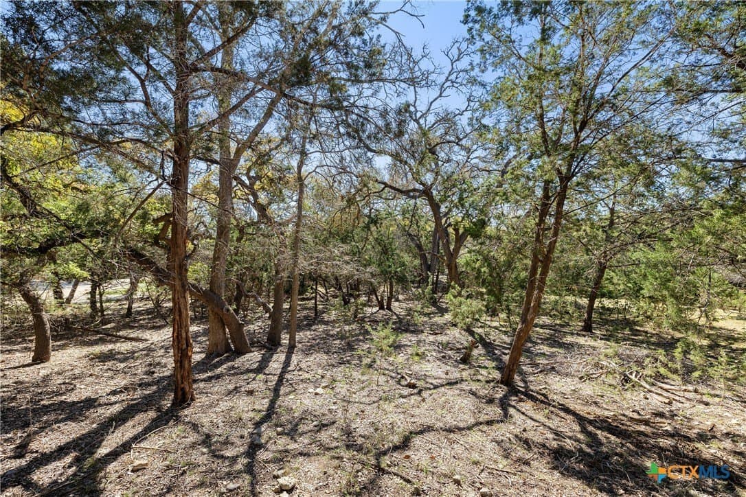 3.13 acres in Blanco County - photo 21