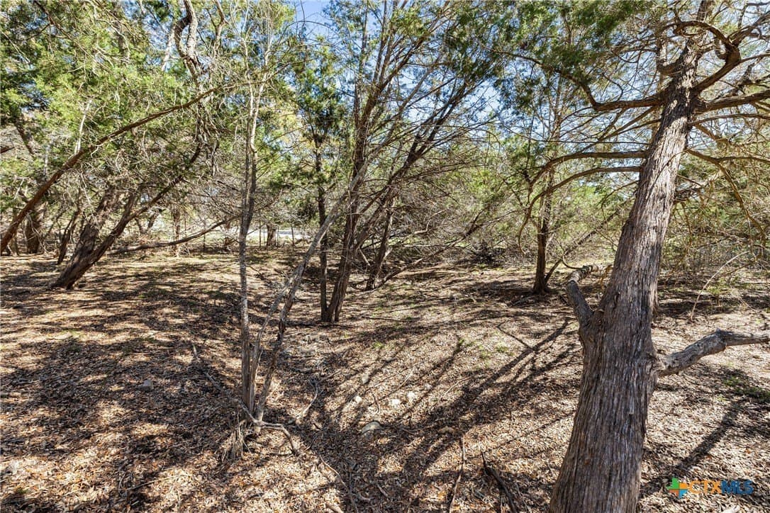 3.13 acres in Blanco County - photo 18