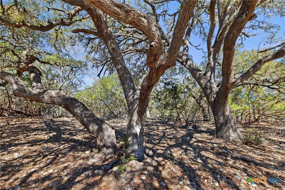 3.13 acres in Blanco County - photo 5
