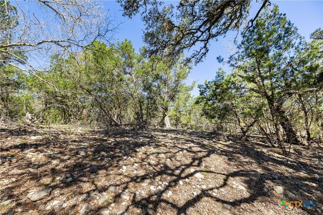 3.13 acres in Blanco County - photo 14