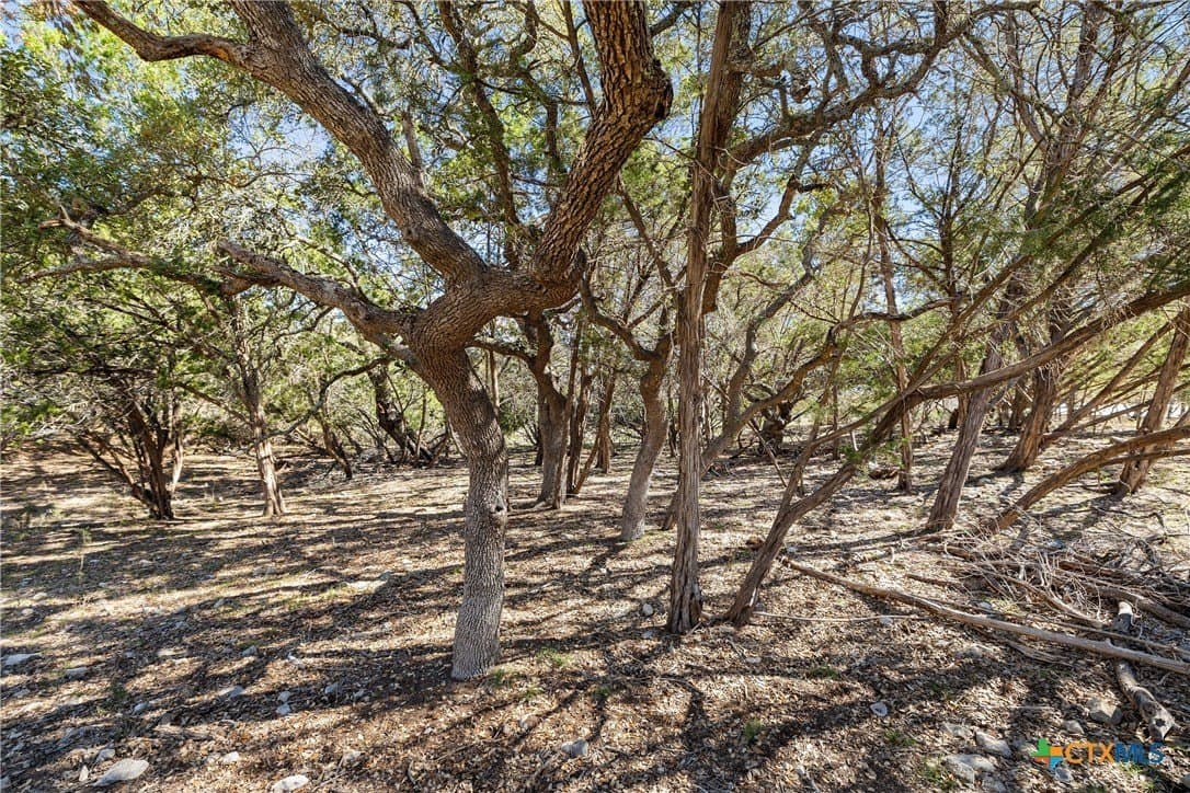 3.13 acres in Blanco County - photo 17