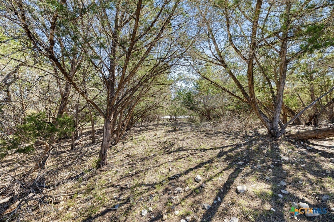 3.13 acres in Blanco County - photo 16