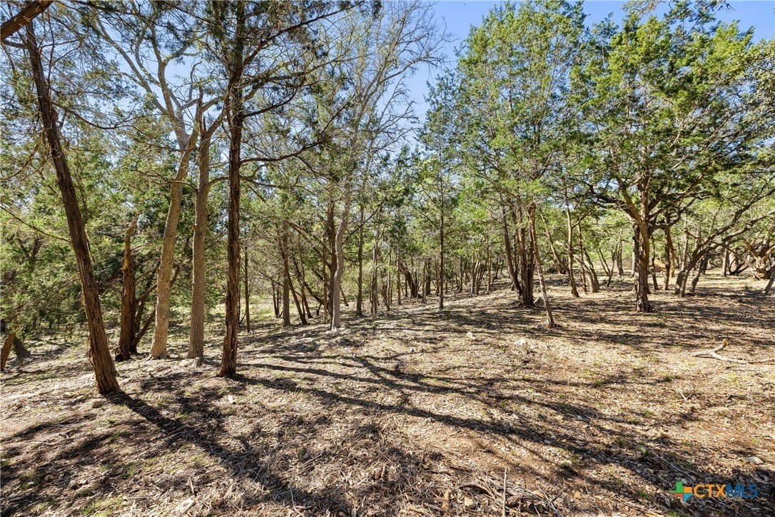 3.13 acres in Blanco County - photo 22