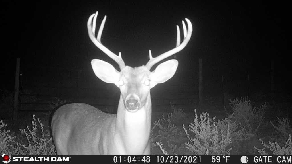 10.24 acres in Live Oak County - photo 4