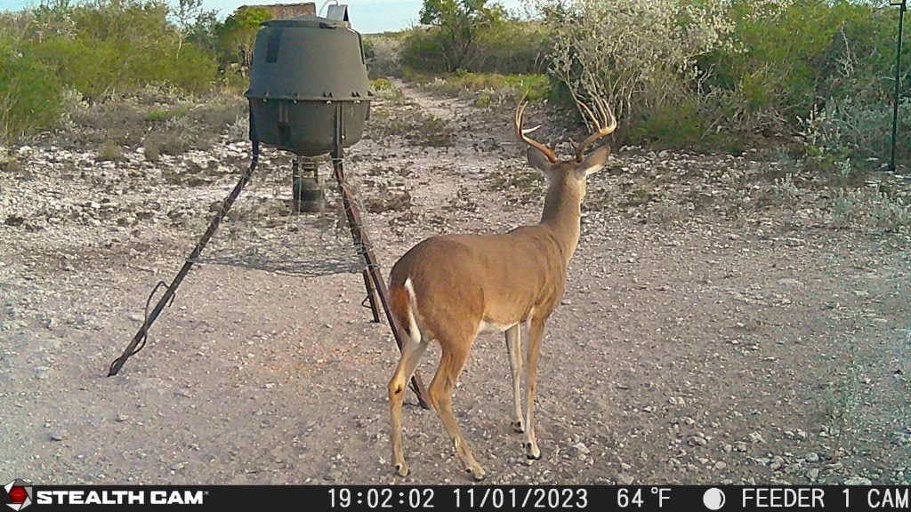 10.24 acres in Live Oak County - photo 11