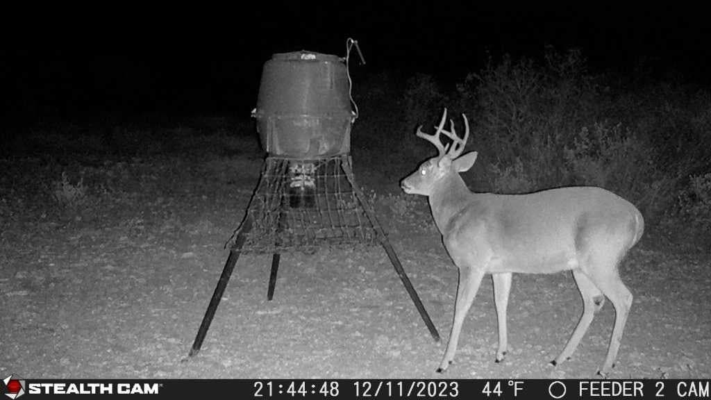 10.24 acres in Live Oak County - photo 10