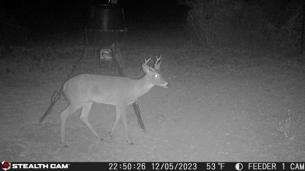10.24 acres in Live Oak County - photo 9