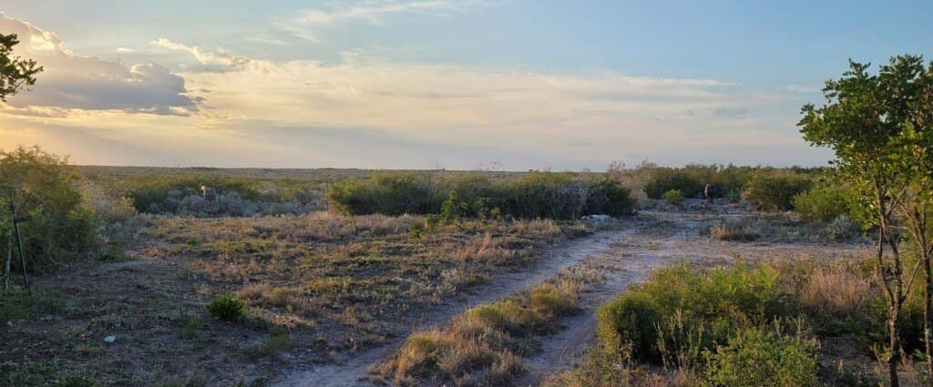 10.24 acres in Live Oak County - photo 17