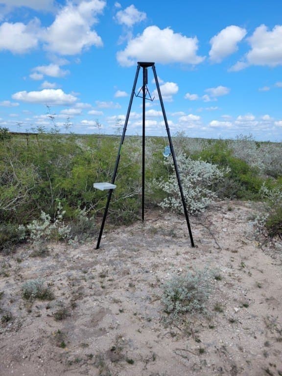 10.24 acres in Live Oak County - photo 23
