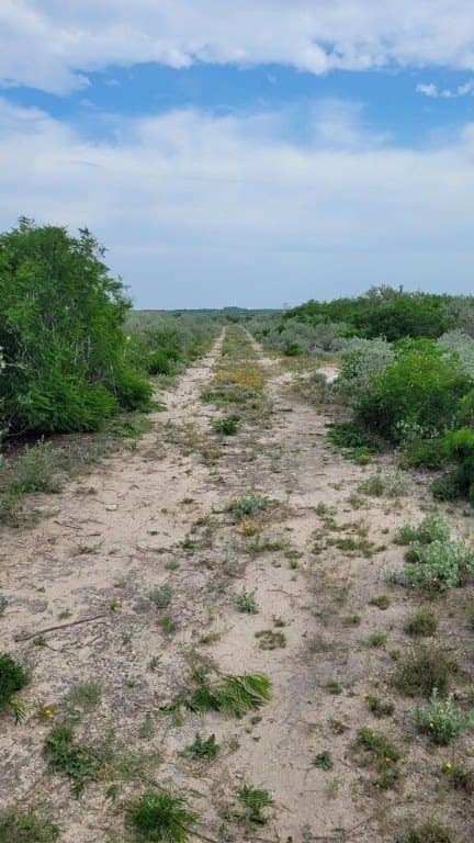 10.24 acres in Live Oak County - photo 16