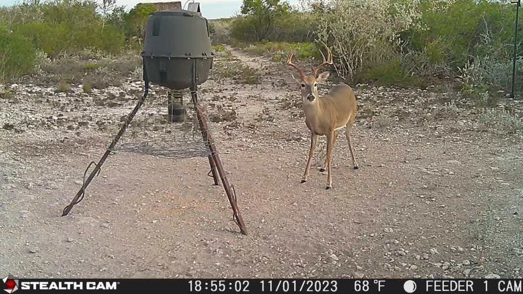 10.24 acres in Live Oak County - photo 5