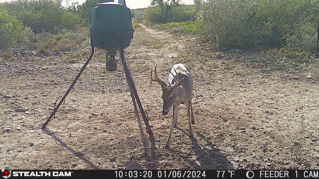 10.24 acres in Live Oak County - photo 15