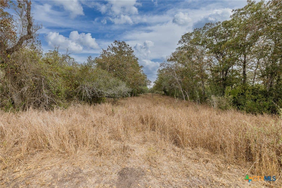 30.75 acres in Goliad County - photo 14