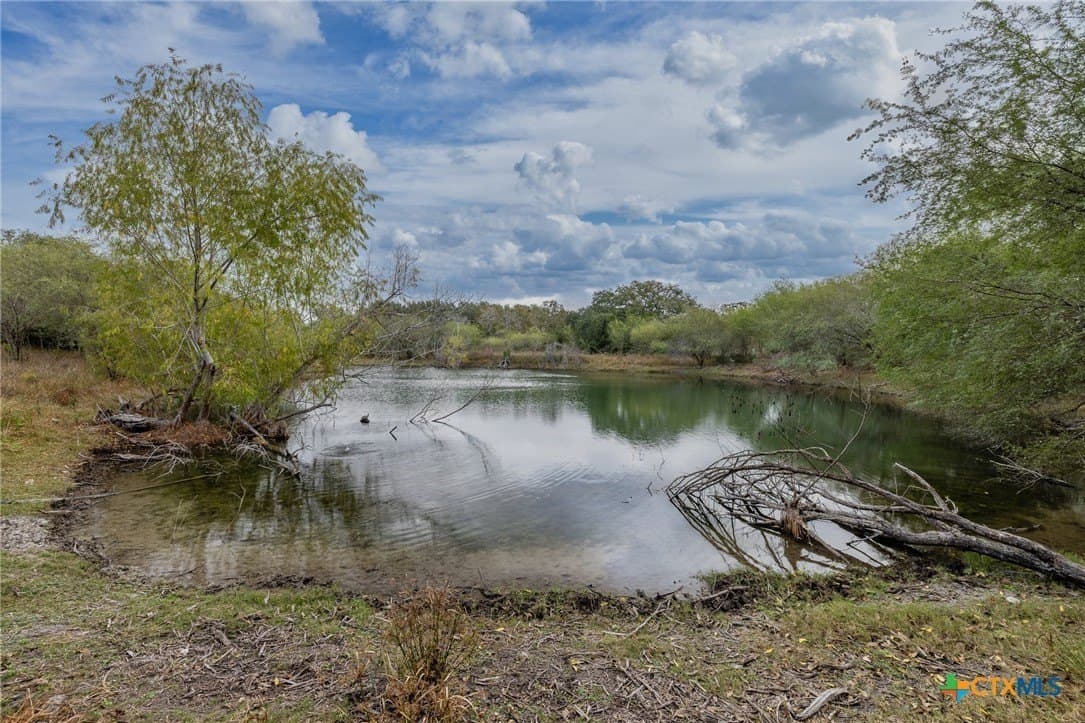 30.75 acres in Goliad County - photo 8