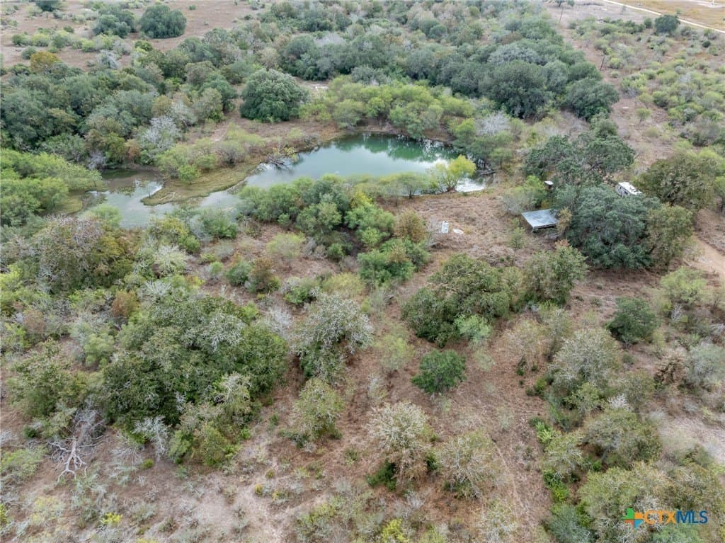 30.75 acres in Goliad County - photo 19