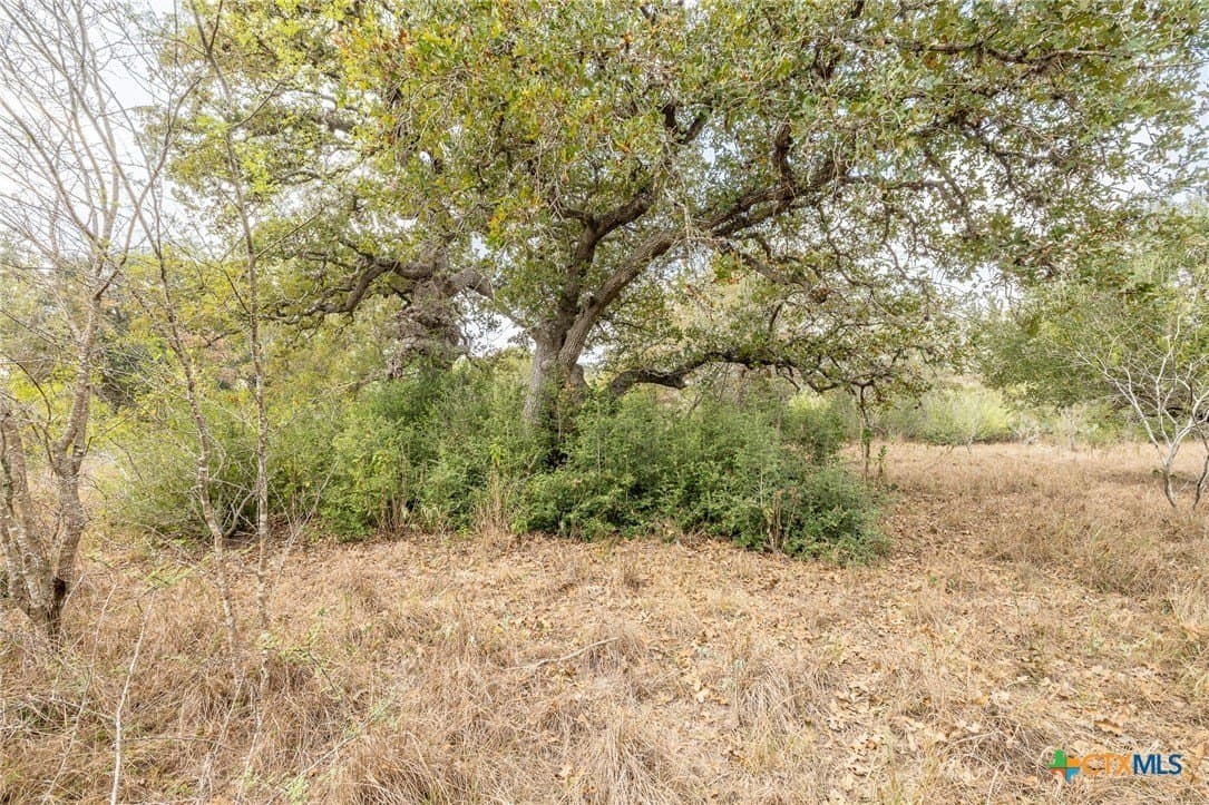 30.75 acres in Goliad County - photo 9