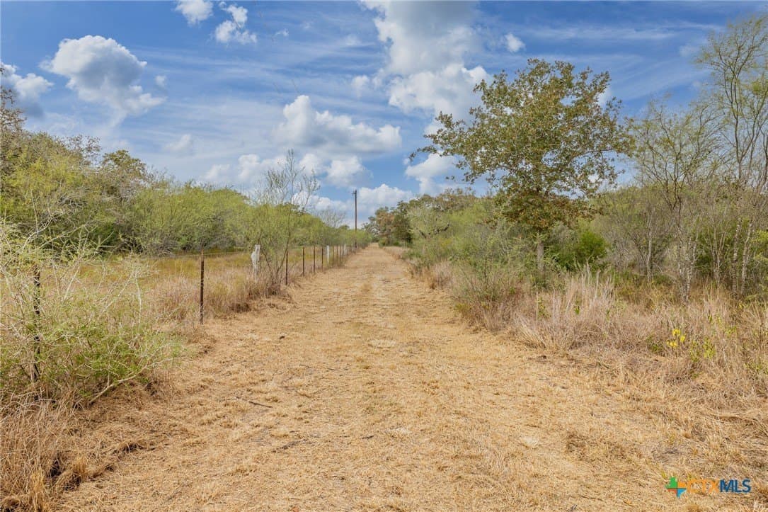30.75 acres in Goliad County - photo 12