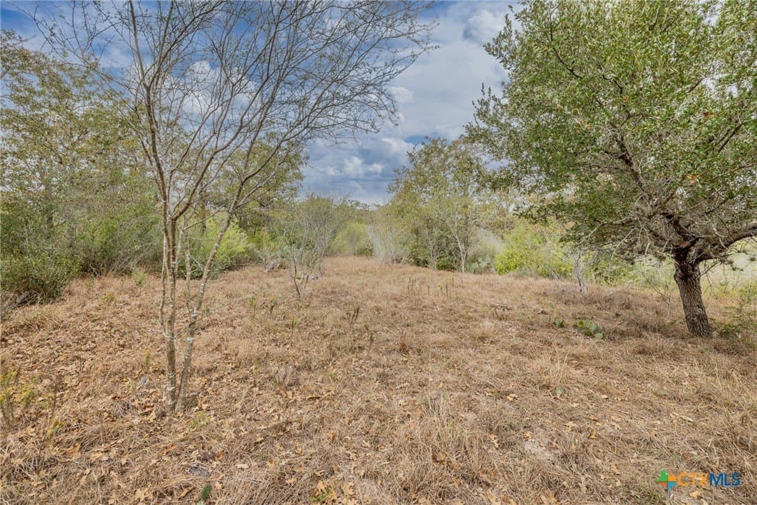 30.75 acres in Goliad County - photo 10