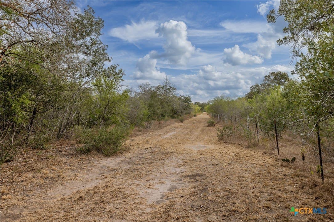 30.75 acres in Goliad County - photo 2