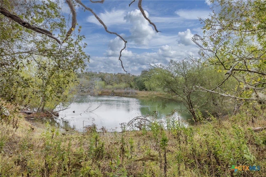 30.75 acres in Goliad County - photo 7