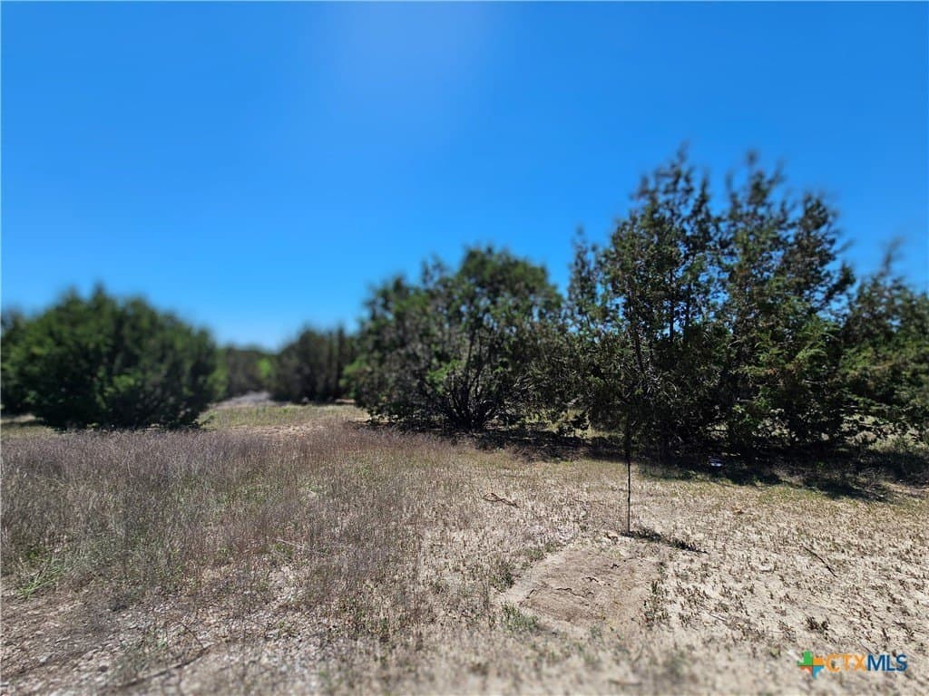 Alta Vista Drive lot: 25