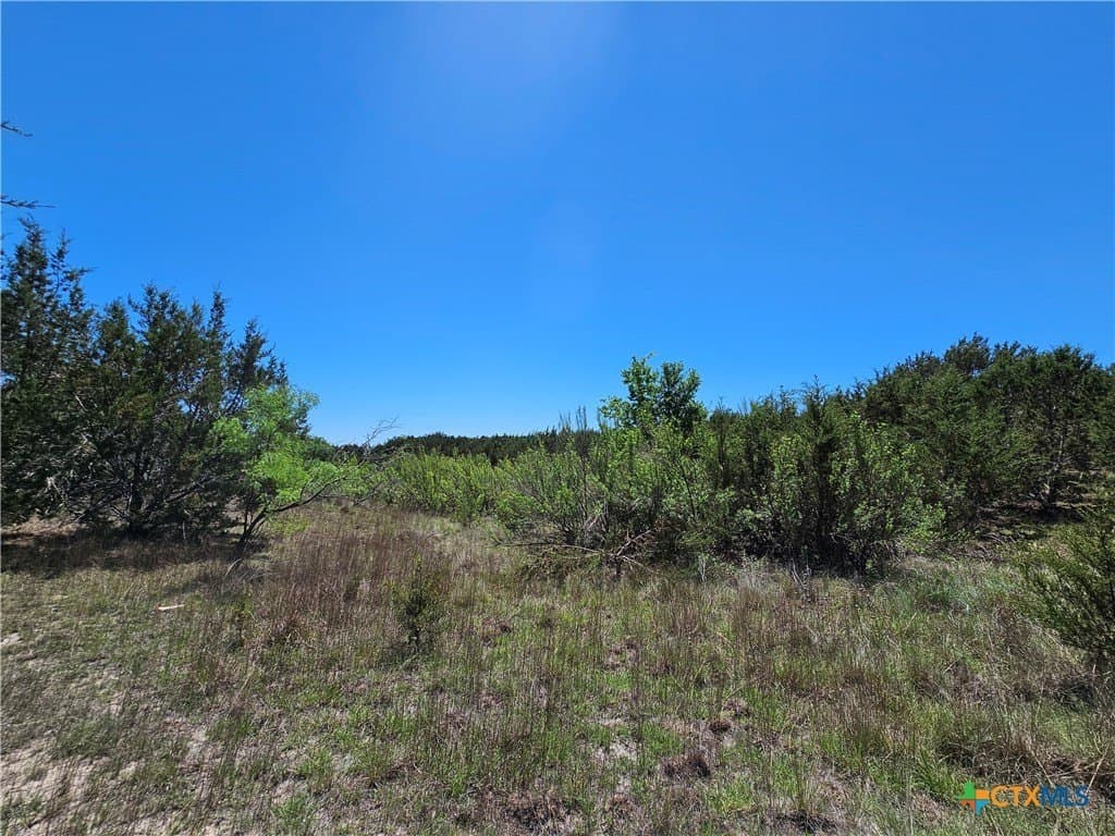 9.18 acres in Burnet County - photo 7