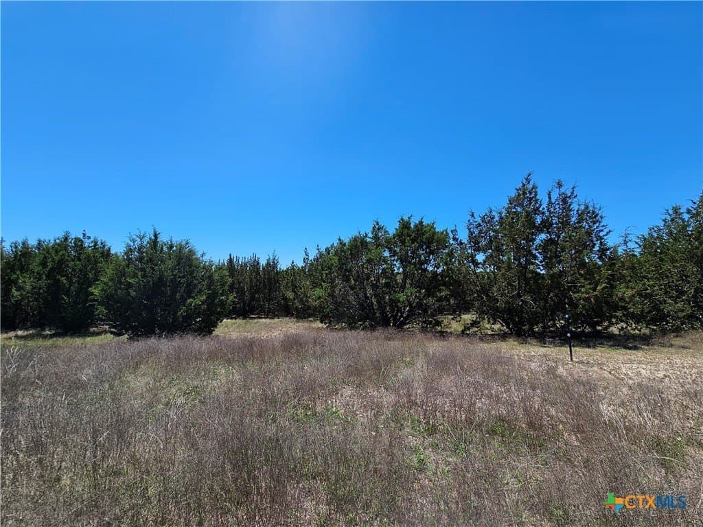 9.18 acres in Burnet County - photo 11