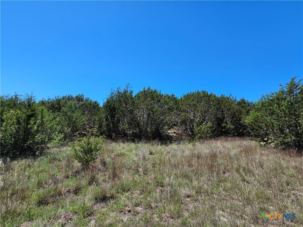 9.18 acres in Burnet County - photo 5