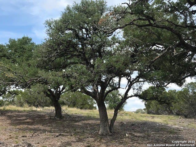 5.74 acres in Bandera County - photo 9