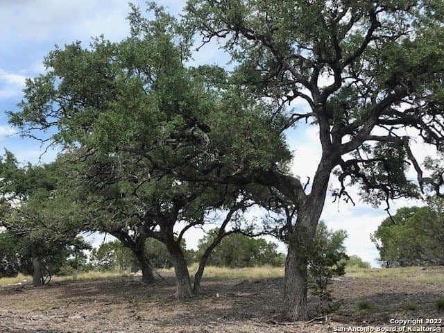 5.74 acres in Bandera County - photo 2