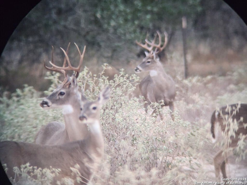 0 acres in Medina County - photo 25