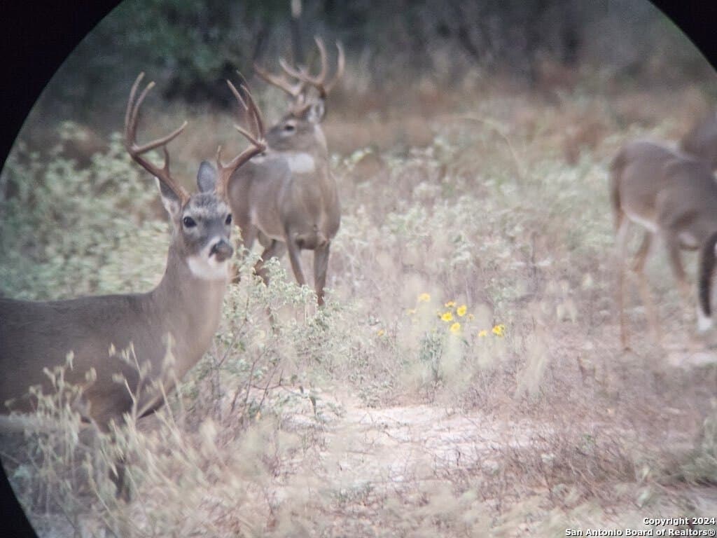 0 acres in Medina County - photo 24