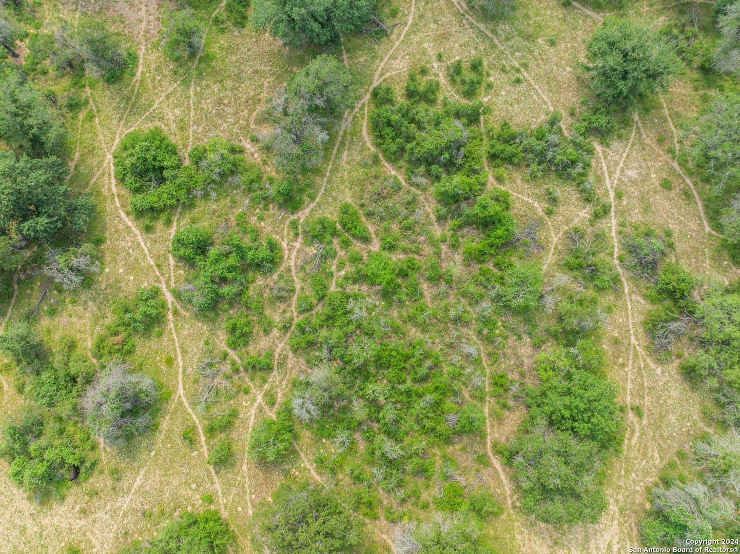 0 acres in Medina County - photo 20