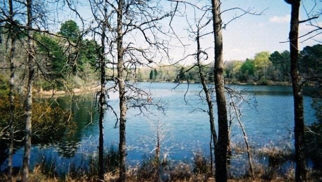 1.01 acres in Henderson County - photo 2
