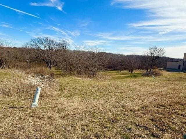 1.14 acres in Dallas County - photo 4