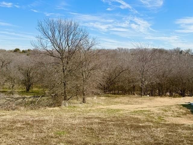 1.14 acres in Dallas County - photo 6