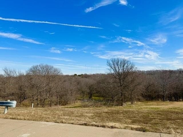 1.14 acres in Dallas County - photo 5