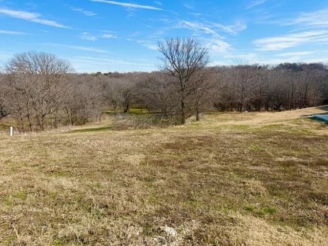1.14 acres in Dallas County - photo 2