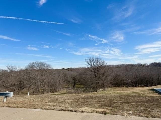 1.14 acres in Dallas County - photo 11