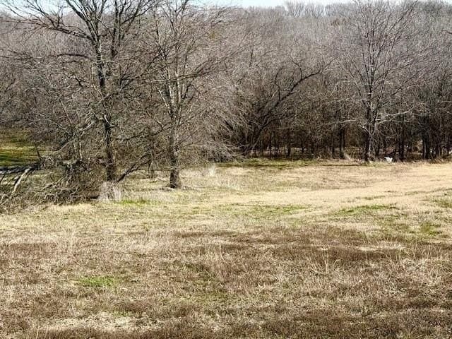 1.14 acres in Dallas County - photo 7