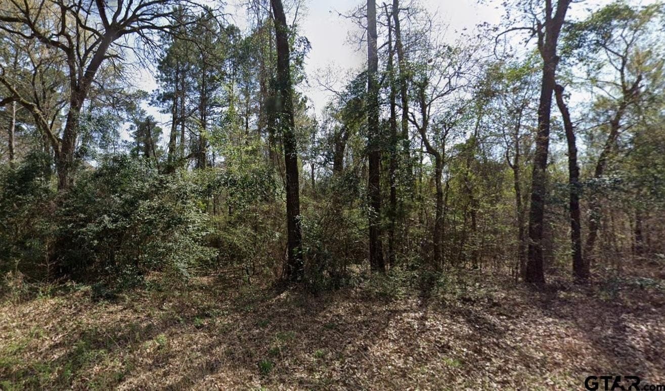 0.34 acres in Upshur County - photo 3