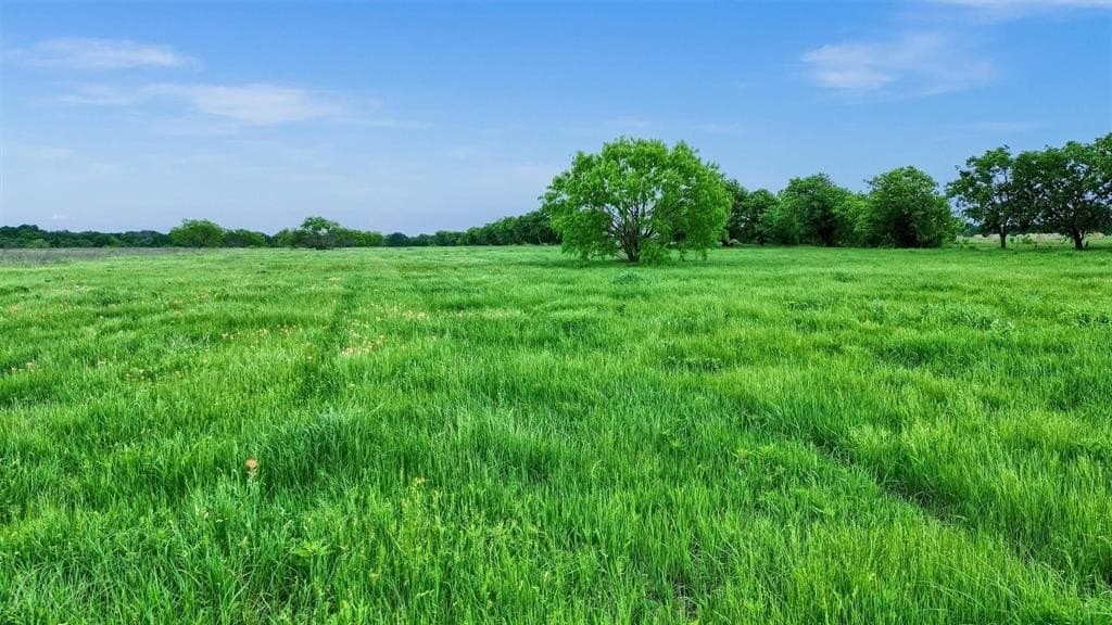 1.31 acres in Grayson County - photo 7