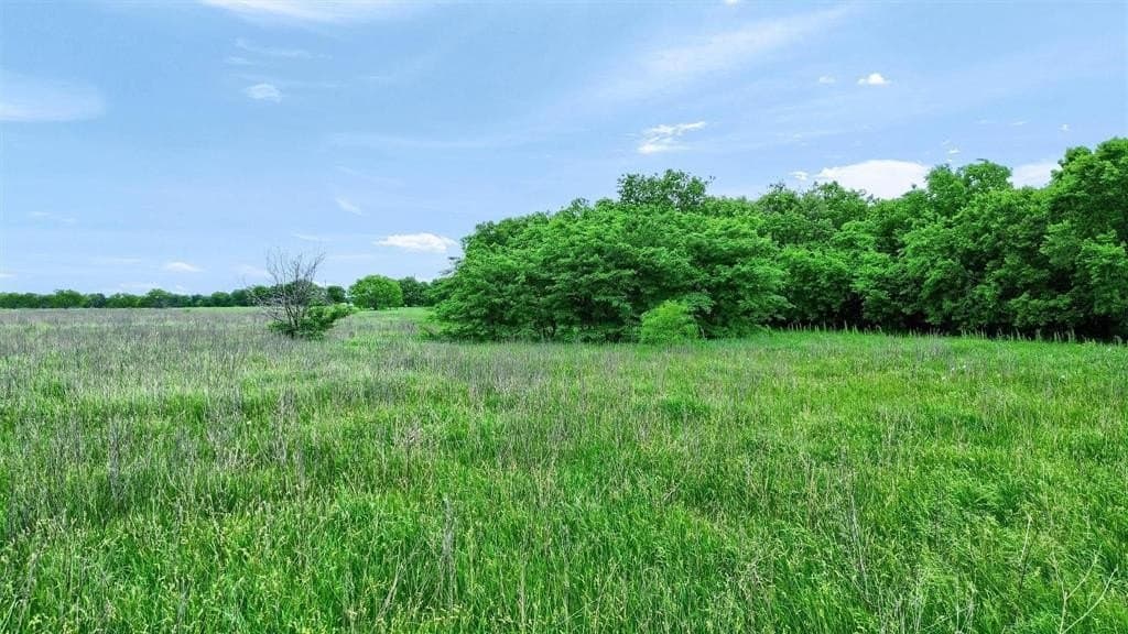 1.31 acres in Grayson County - photo 8