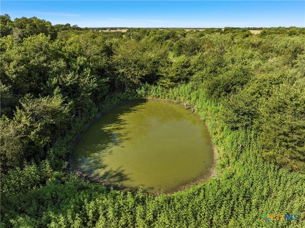 48.85 acres in Limestone County - photo 5