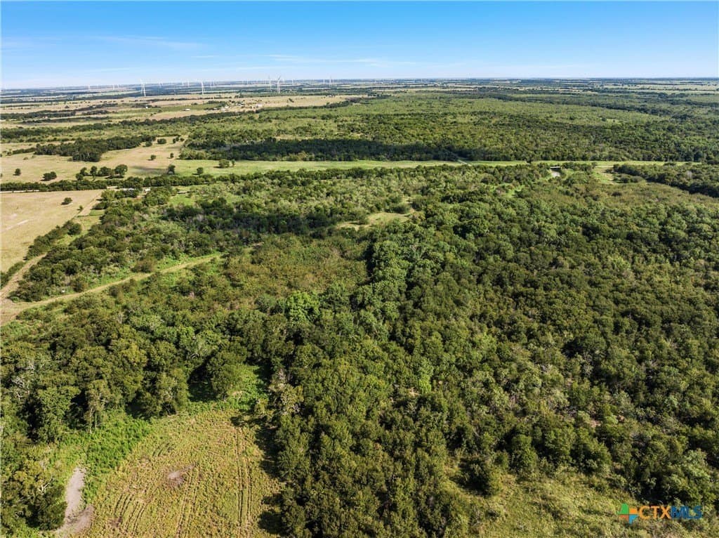 48.85 acres in Limestone County - photo 4