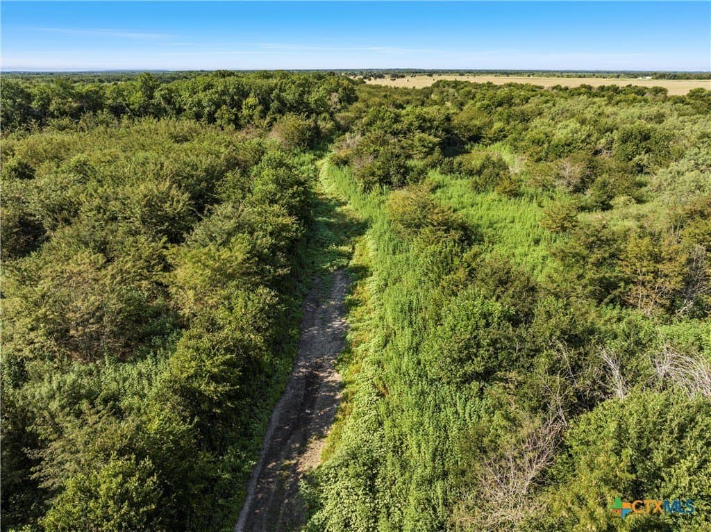48.85 acres in Limestone County - photo 7