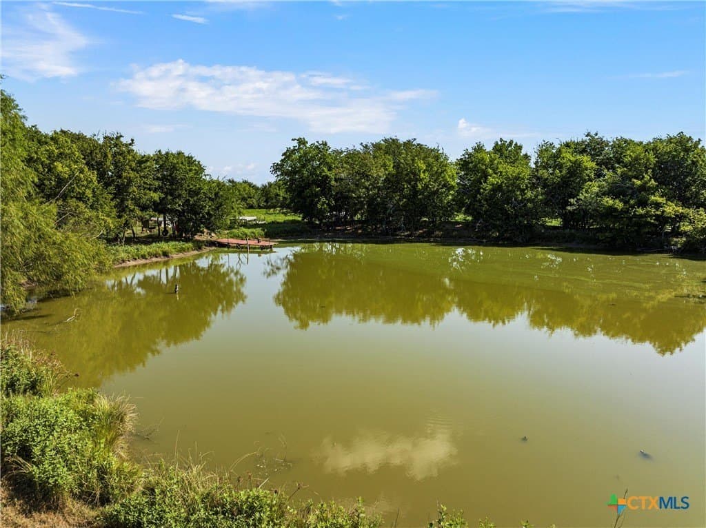 48.85 acres in Limestone County - photo 18