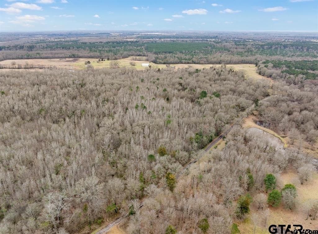 24.13 acres in Camp County - photo 4