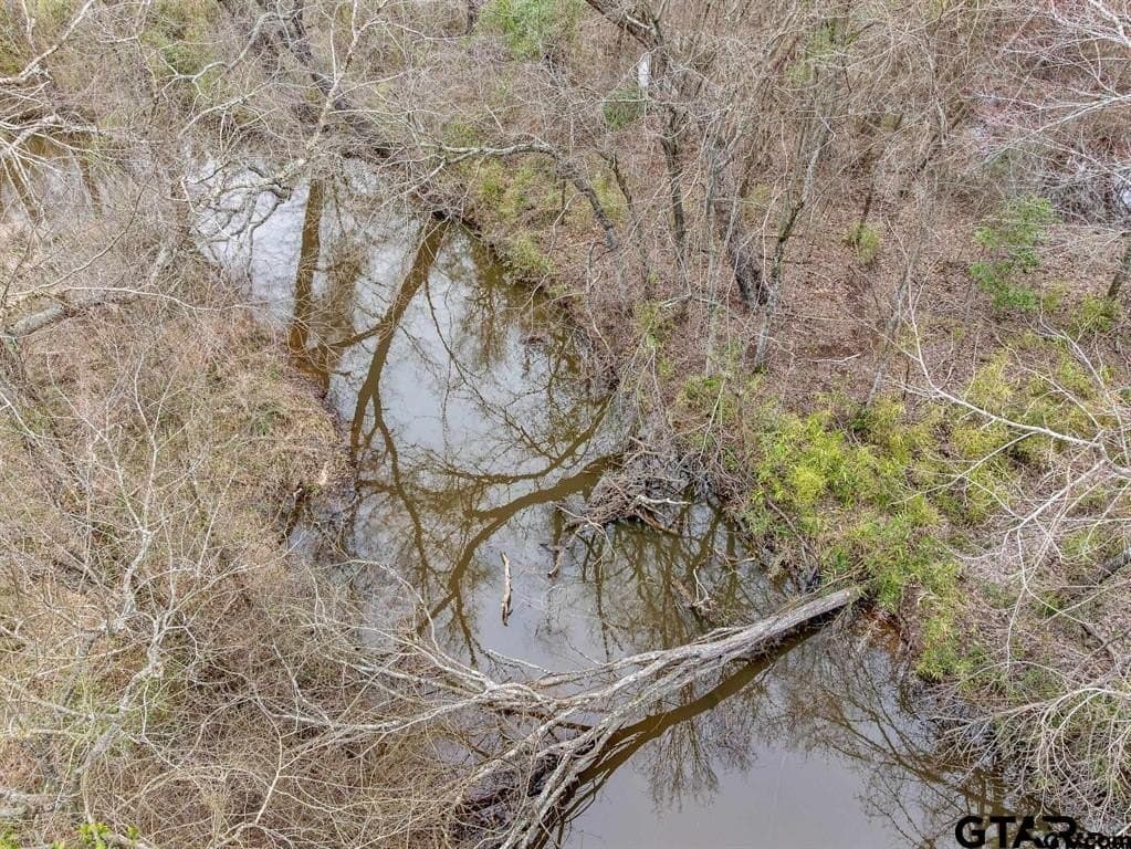 24.13 acres in Camp County - photo 5