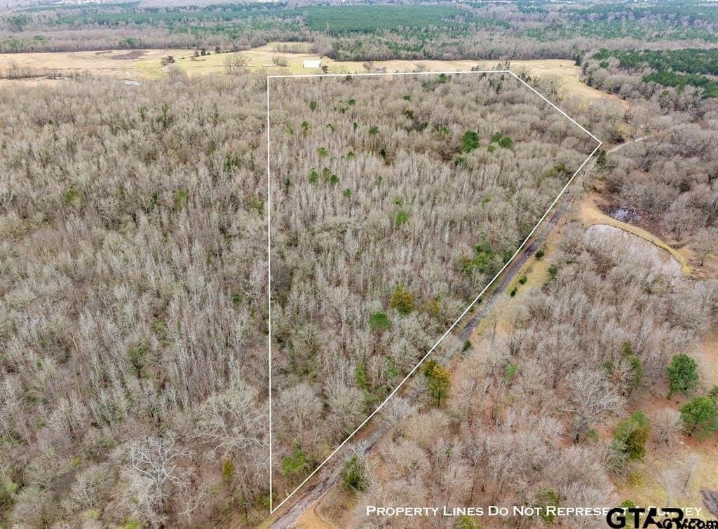 24.13 acres in Camp County - photo 2